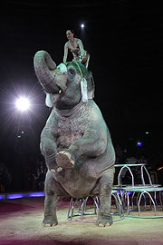 Jana Mandana im Duett mit der Elefantendame BARA (©Foto: Martin Schmitz)